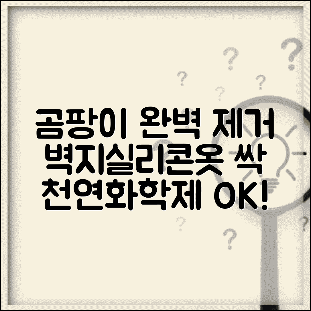 곰팡이 제거방법 완벽 가이드 | 벽지 실리콘 옷 곰팡이 제거 | 천연 화학 제거제 사용법 총정리