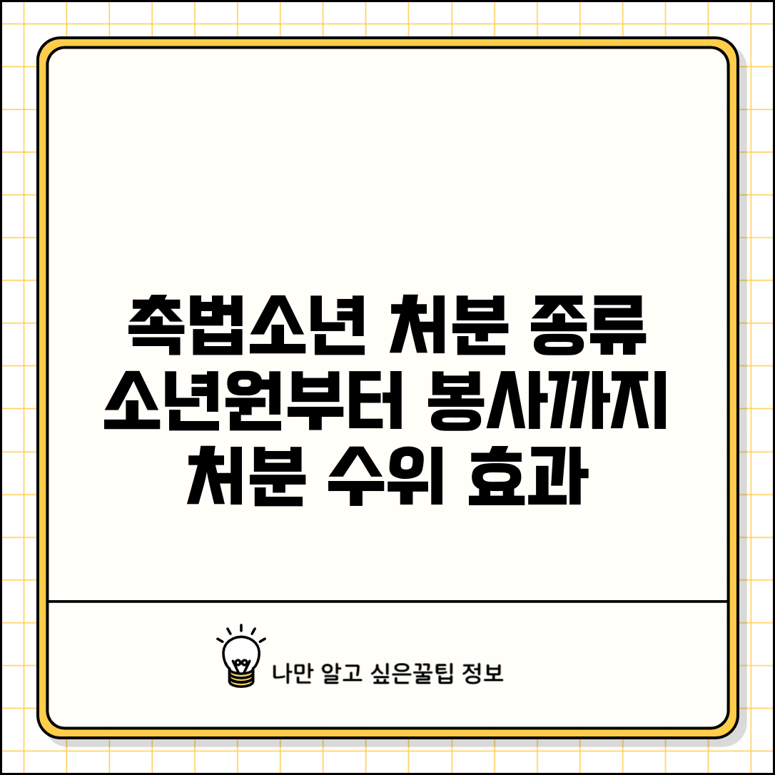 촉법소년 보호처분 종류와 효과 | 소년원 송치부터 사회봉사까지 처분 수위