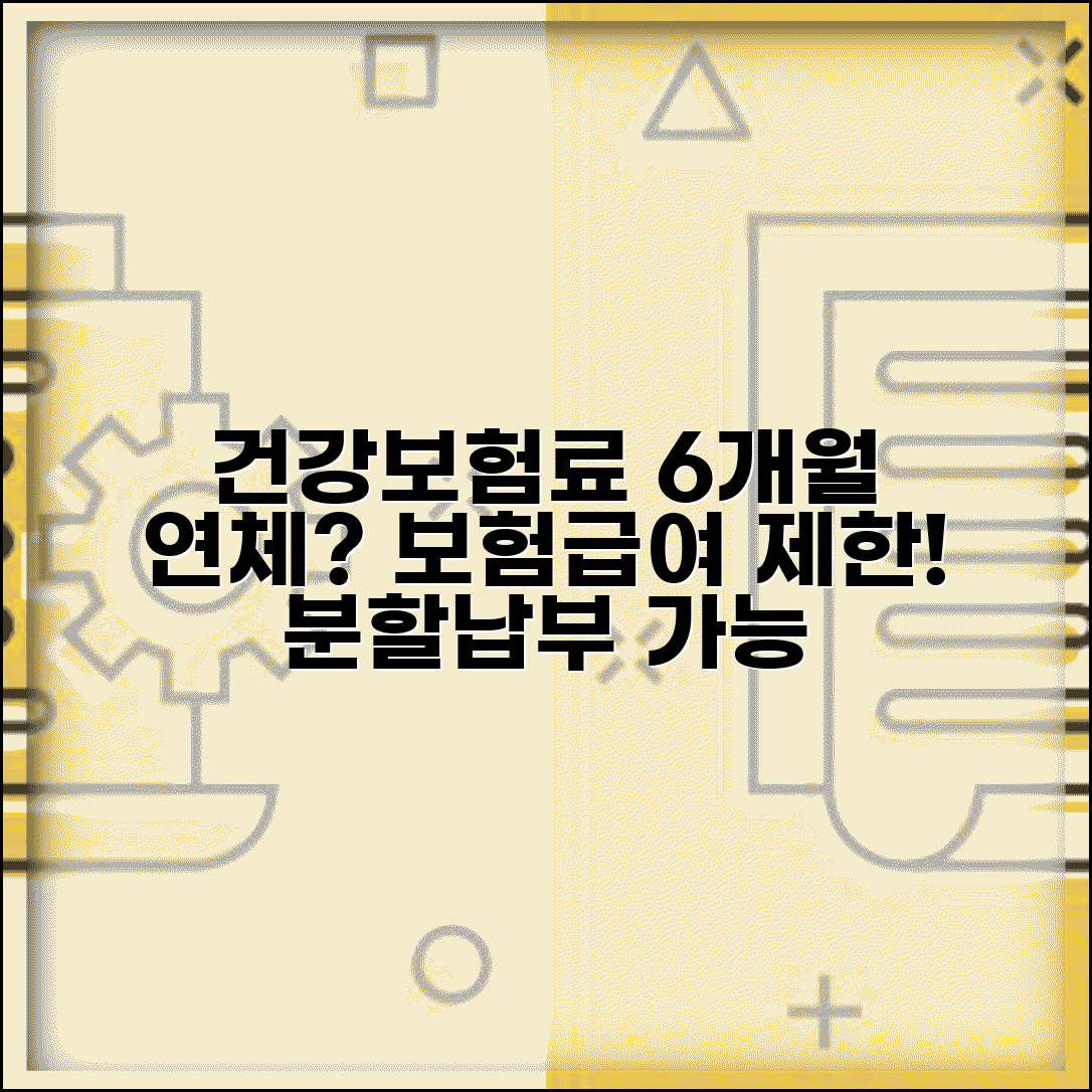 건강보험료 연체 6개월 | 건강보험료 6개월 연체시 보험급여 제한과 분할납부