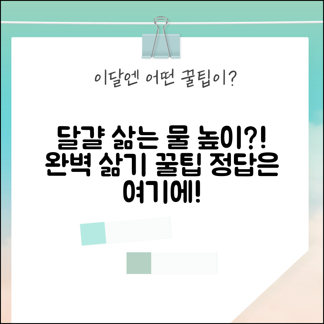 달걀 삶는 물 양 얼마나 넣어야 할까? | 계란 삶을 때 물 높이, 완벽 삶기 팁