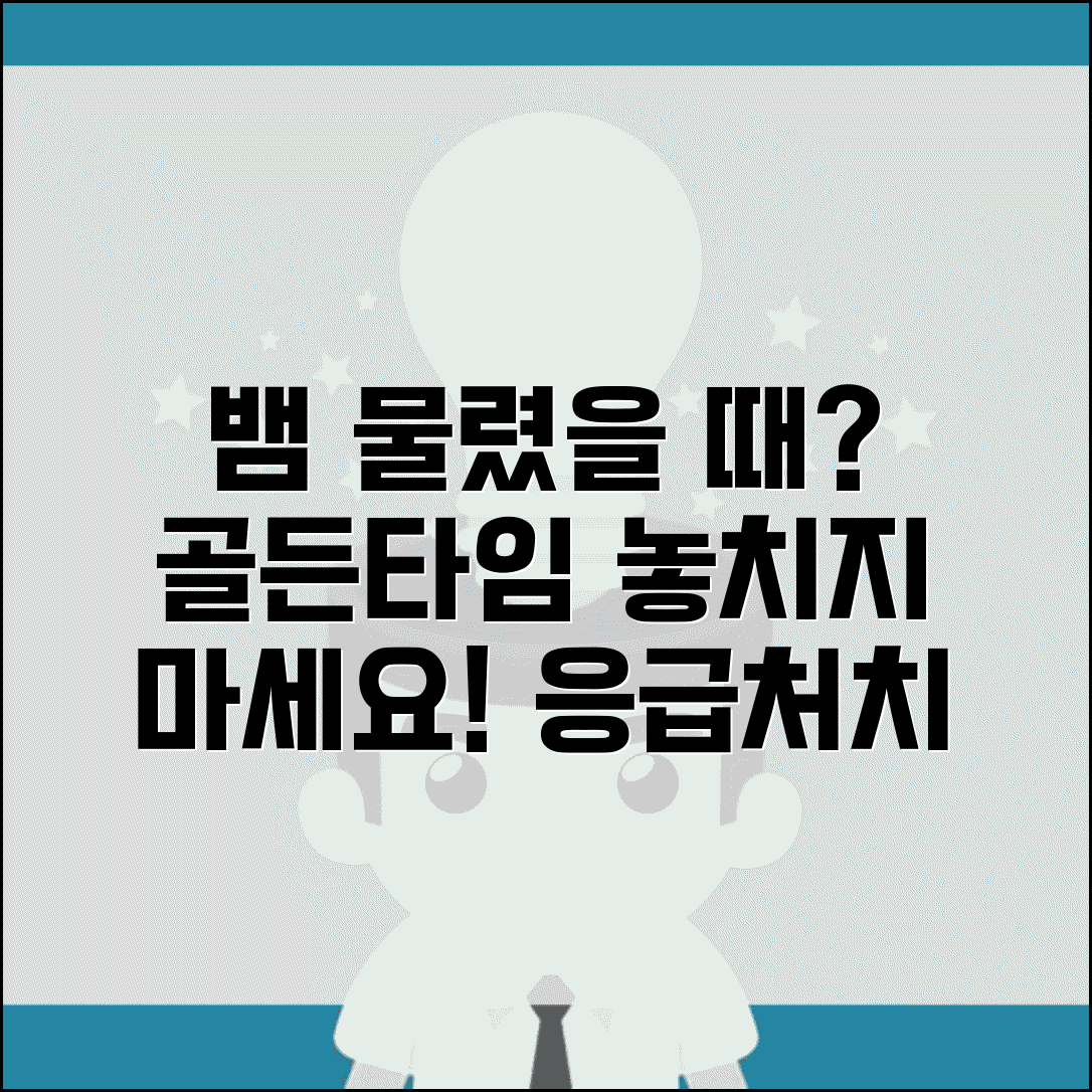 뱀 물렸을 때 대처 골든타임 | 뱀 교상 응급처치 시간 및 주의사항 총정리
