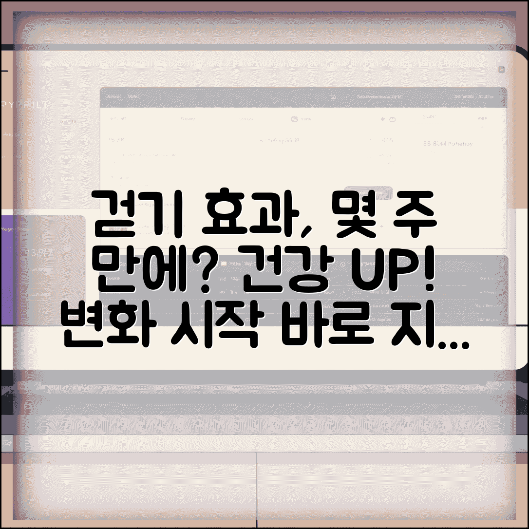 걷기 운동 효과 몇 주 후 나타나는지 | 걷기 운동 건강 효과 시기
