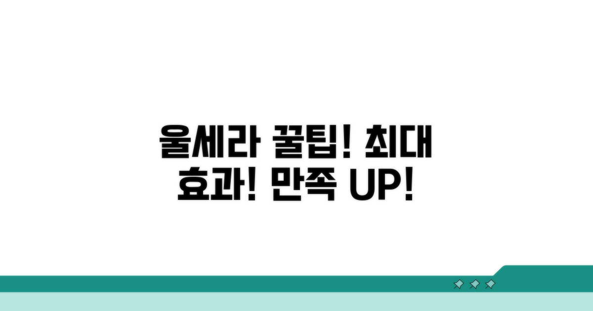 만족도 높이는 울세라 꿀팁