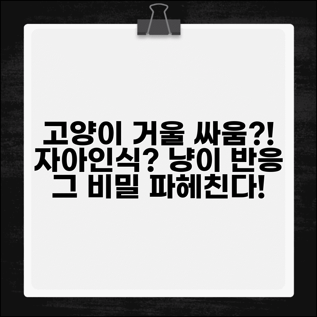 고양이가 거울 보고 싸우는 행동 하는 이유가 뭔가요 | 고양이 거울 | 자아인식 | 반응