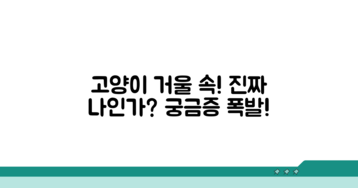 고양이 거울 반응, 무엇을 보는 걸까?