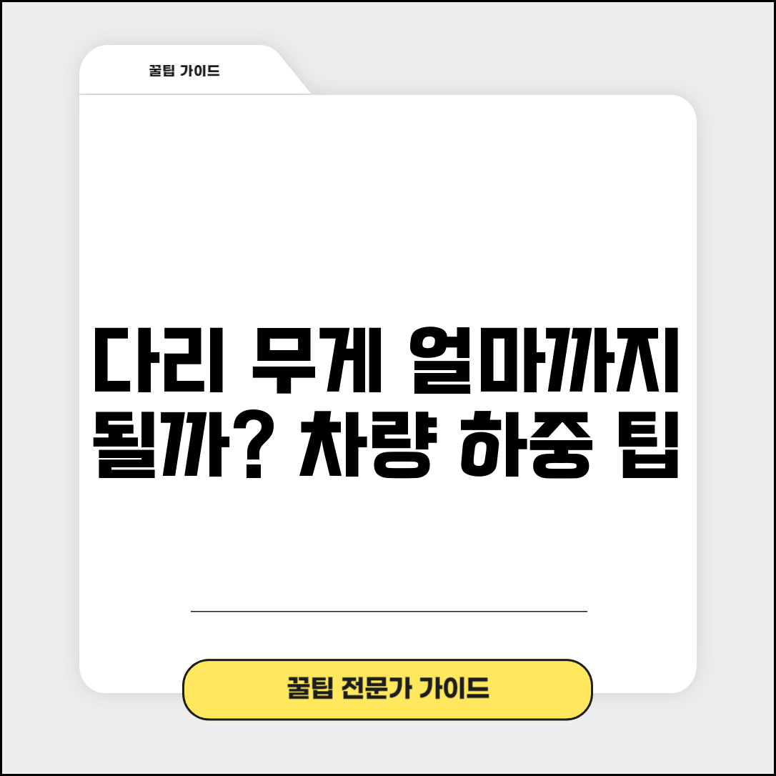 다리 통행 무게 제한 얼마까지 | 교량 차량 하중 제한 톤수