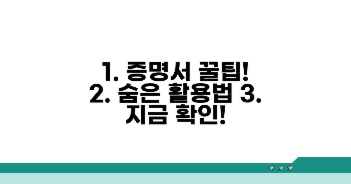 증명서 활용 꿀팁과 추가 정보