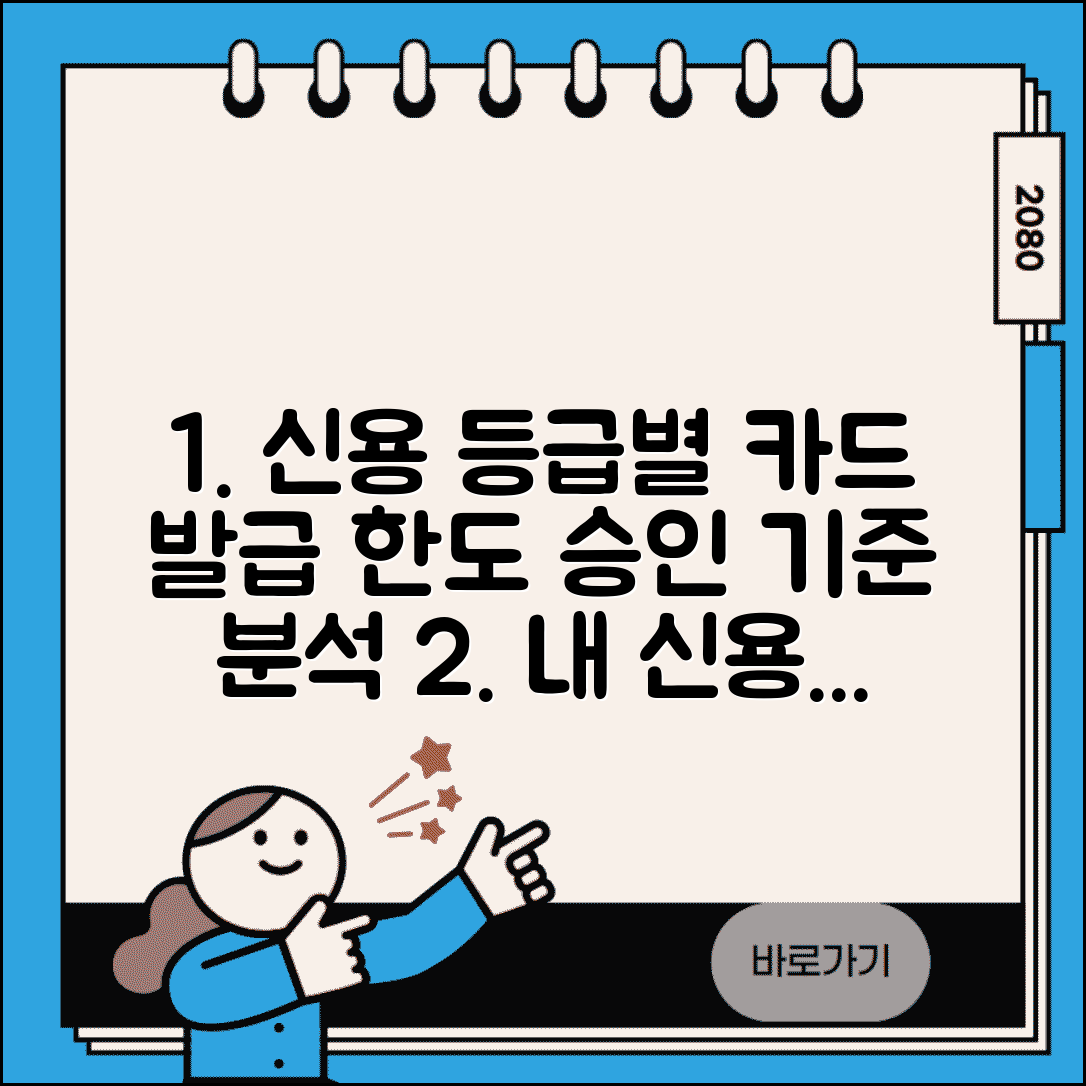 신용등급별 신용카드 발급 한도 | 등급별 카드 승인 기준 분석