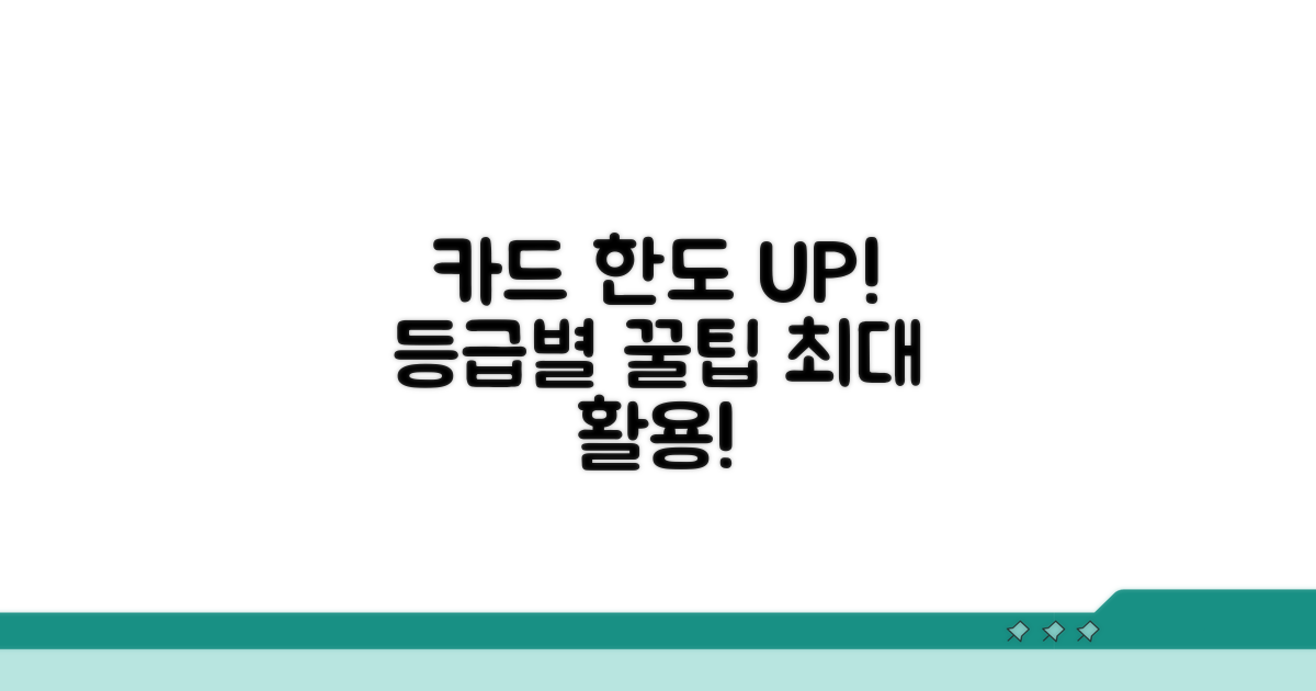등급별 카드 한도 최대 활용 팁
