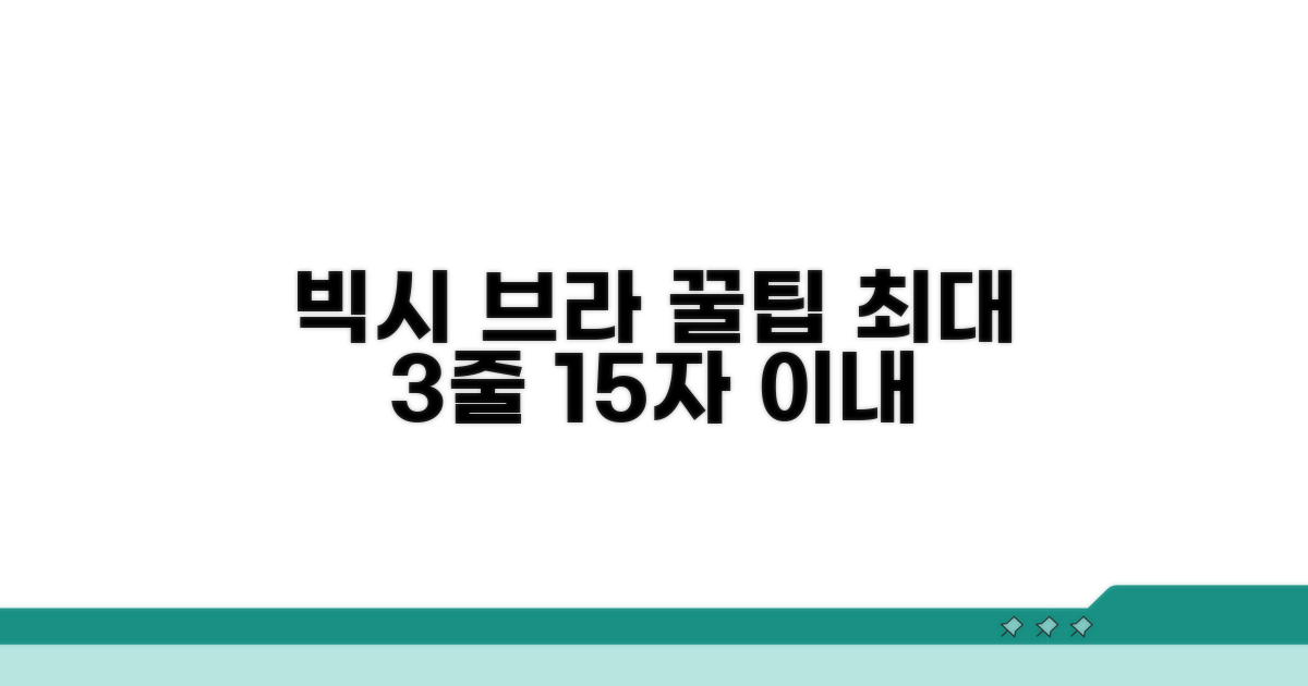 성공적인 빅시 브라 구매 전략