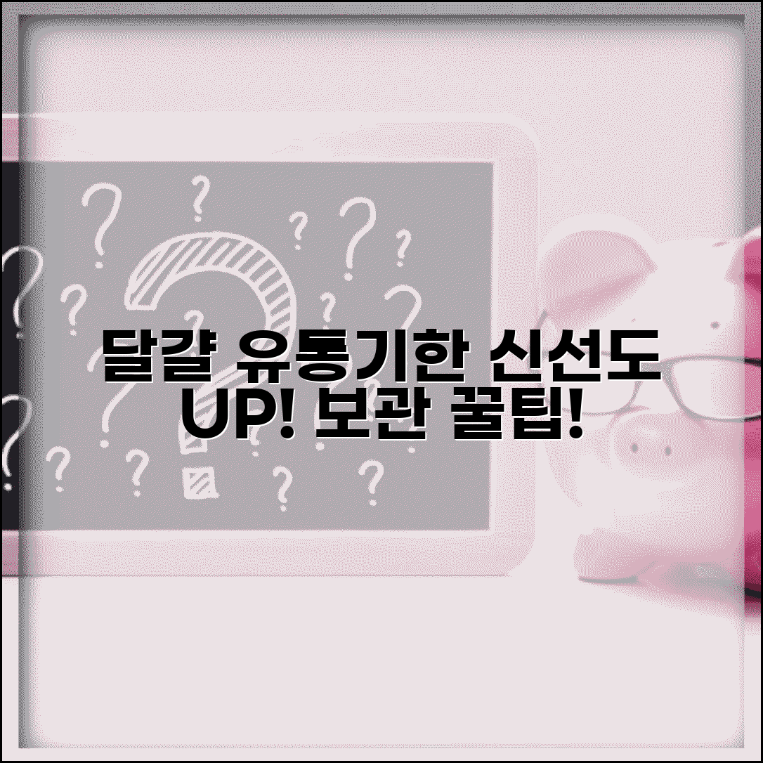계란 유통기한 확인 보관 방법 | 달걀 신선도 유지, 소비기한 꿀팁 총정리